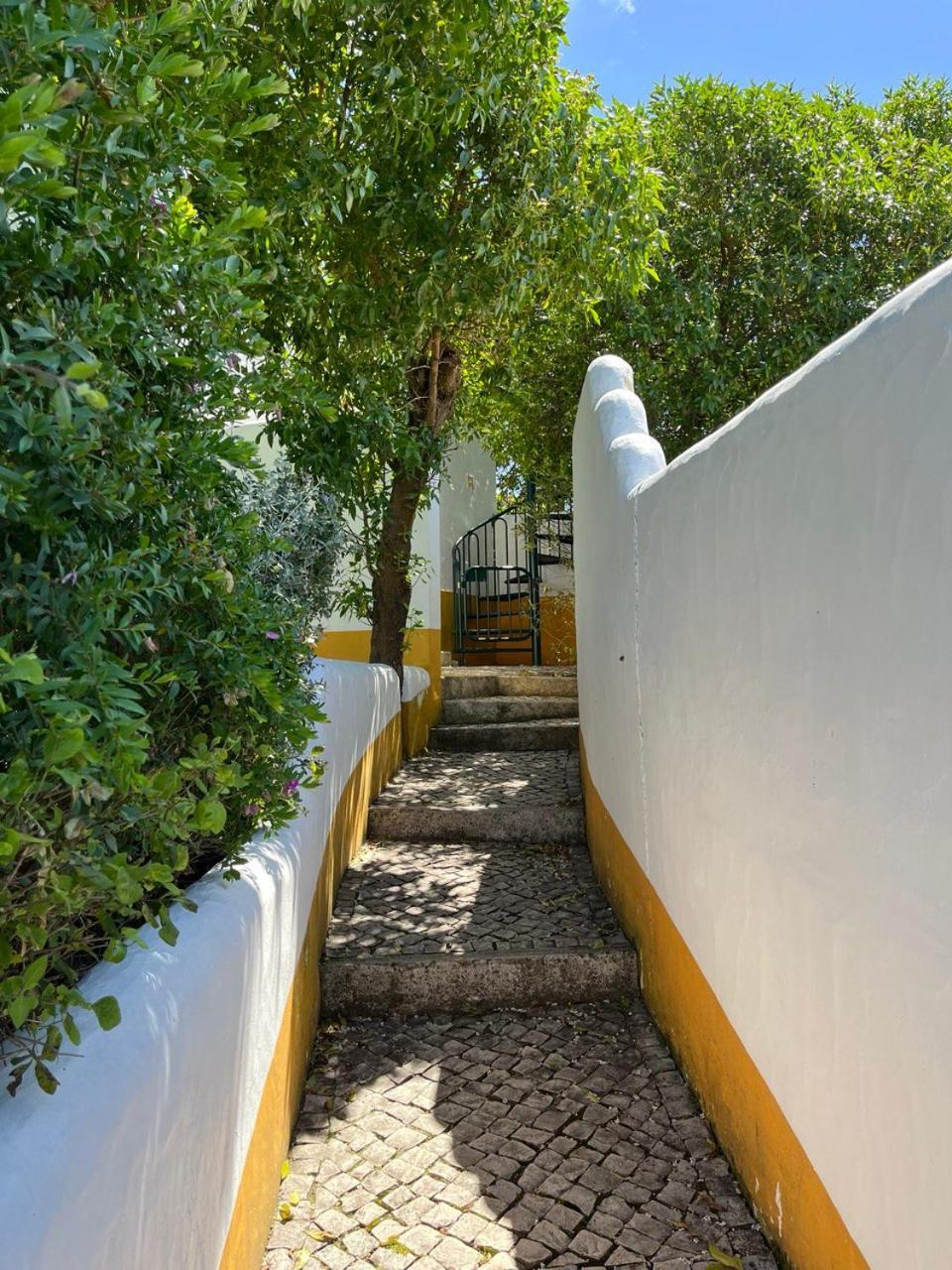 Quinta Laranja - Turismo Rural - Alvorninha Exterior foto