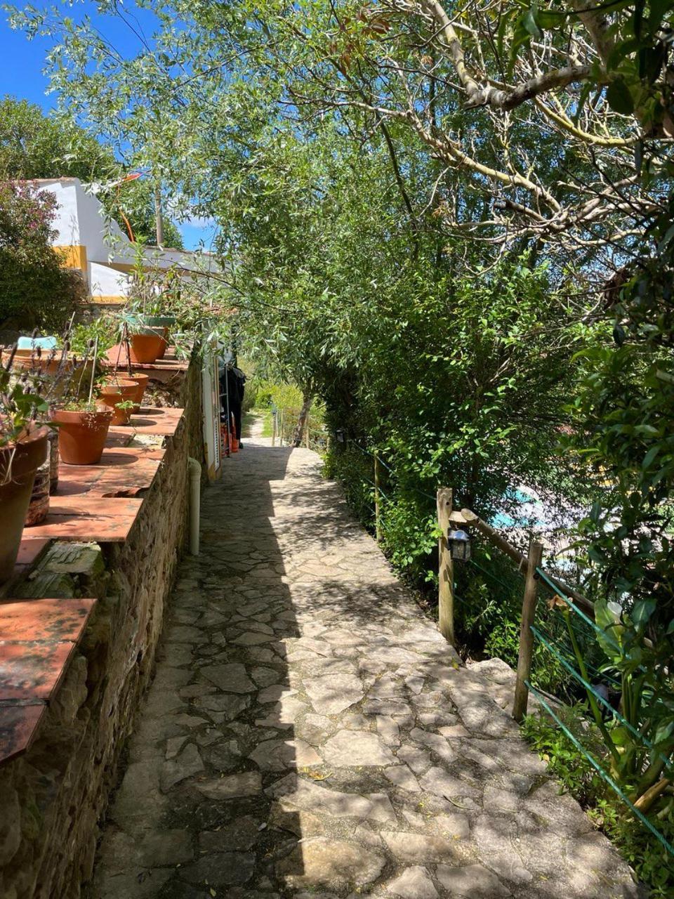 Quinta Laranja - Turismo Rural - Alvorninha Exterior foto
