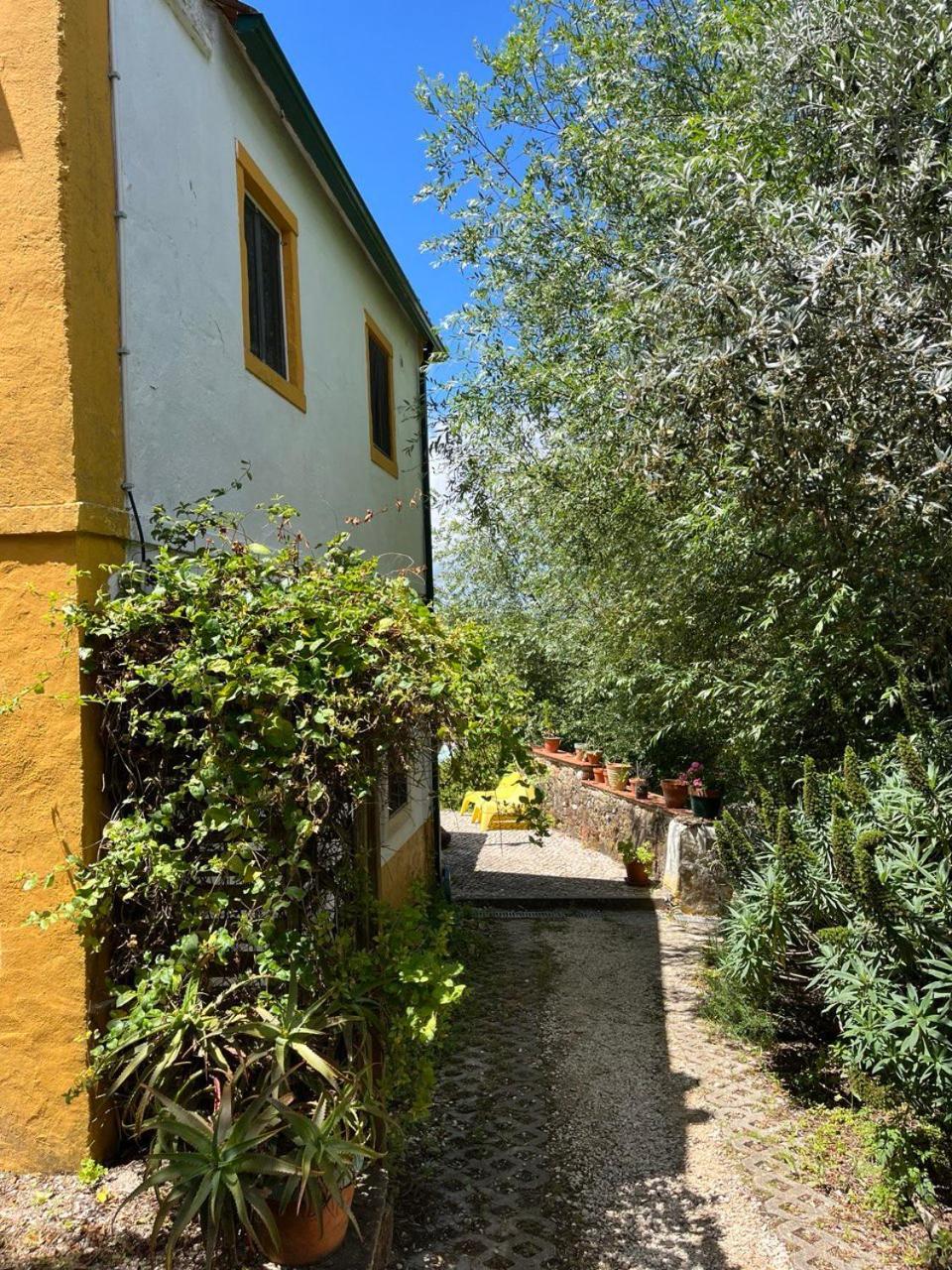 Quinta Laranja - Turismo Rural - Alvorninha Exterior foto